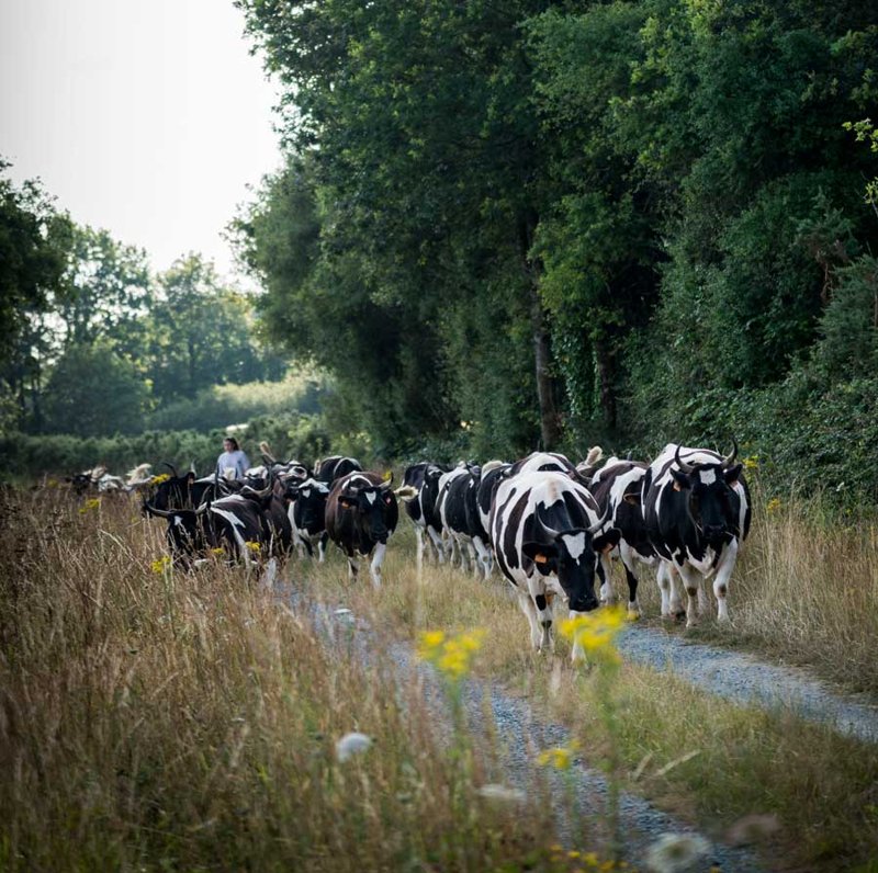 Ferme des 7 Chemins